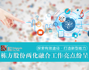 探索有效途徑，打造新型能力——棟方股份兩化融合工作亮點(diǎn)紛呈
