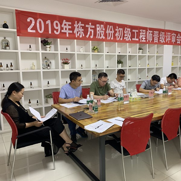匠心筑夢，人才培養(yǎng)丨棟方股份2019初級工程師晉級評審會順利舉行